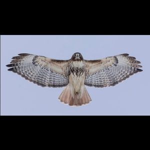 Meet your Posher, Danny